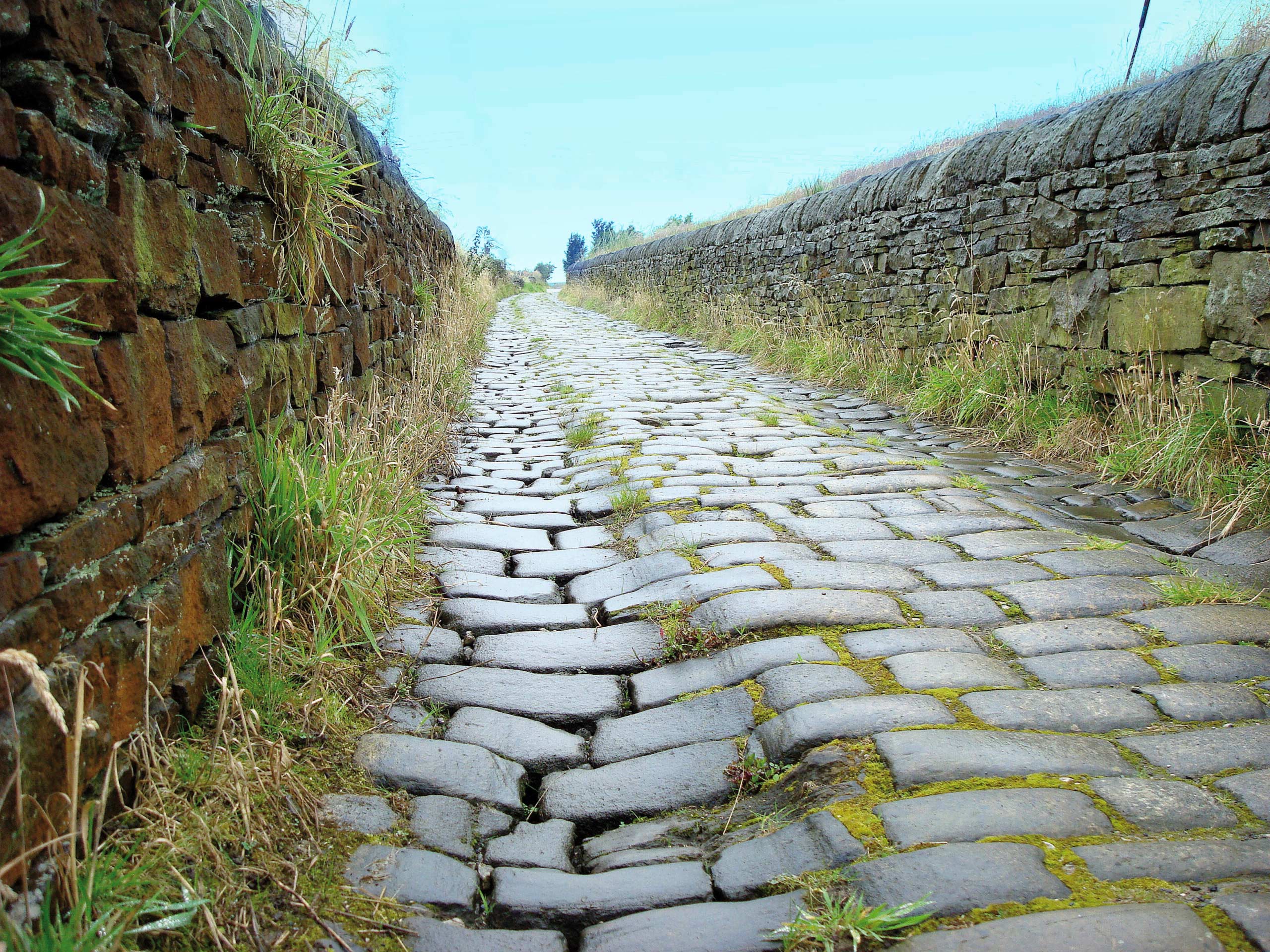 CAMINO