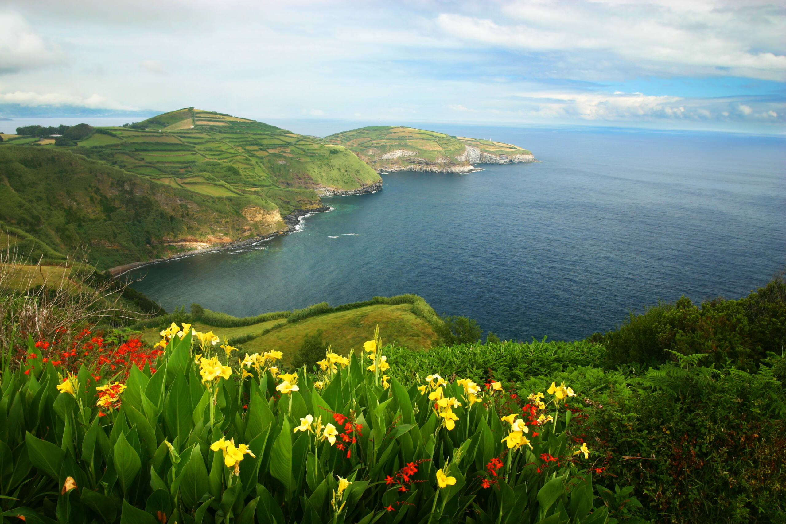 Spring landscape - San Miguel Island, Azores, Portugal