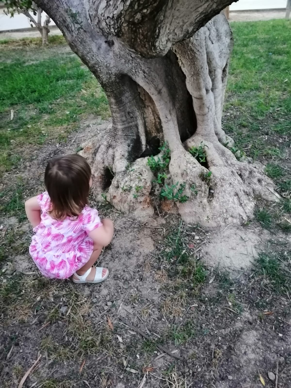 MEDITACIÓN COMO UN NIÑO MIRANDO EN EL INTERIOR